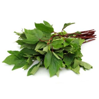 Gongura Leaves