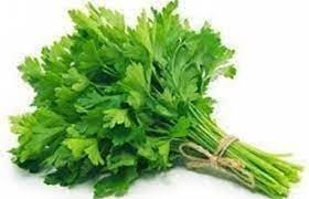 Coriander Leaves (Dhania Patta)