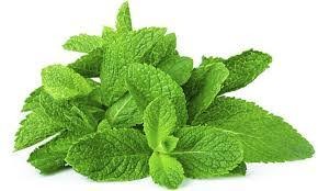 Mint Leaves (Pudina)