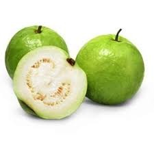 White Guava (Amrood)