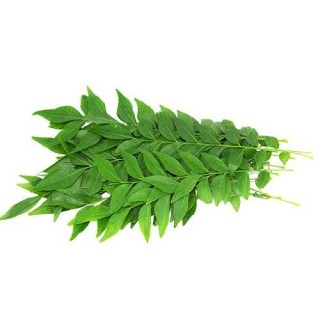 Curry Leaves (Kadi Patta)