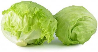 Iceberg lettuce