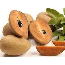 Chikoo (Sapota)