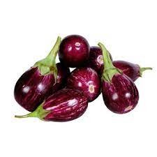Kateri Brinjal (Baingan)
