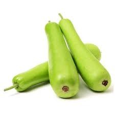 Long Bottle Gourd (Lauki)