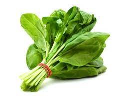Spinach (Palak)