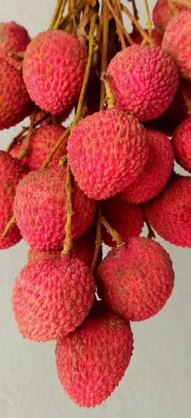 Lychee - Farm Fresh