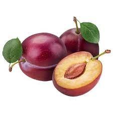 Plum Indian