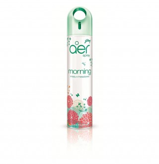 Godrej Aer Spray Morning Misty Meadows(270ml)