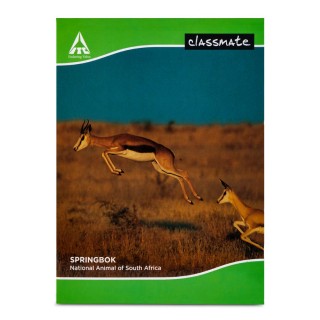 Classmate King Size 172 Pages Ruled Intermediate(1pc)