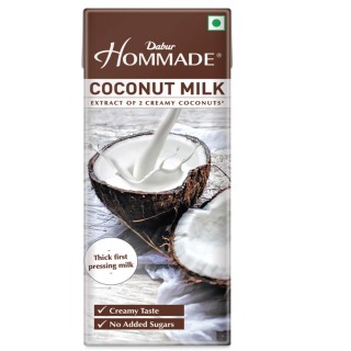 Dabur Homemade Coconut milk (200ml)